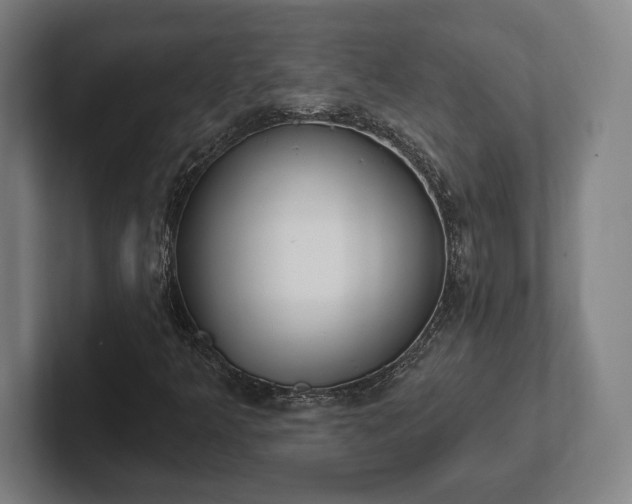 X0000102001349200807251238