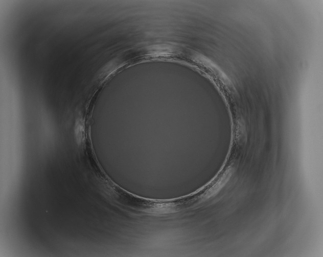 X0000102001353200807251238