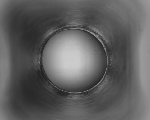 X0000102001355200807251238