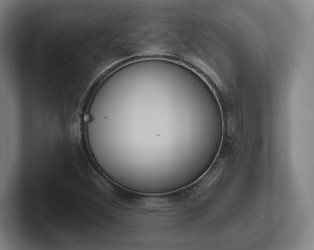 X0000102001356200807251238