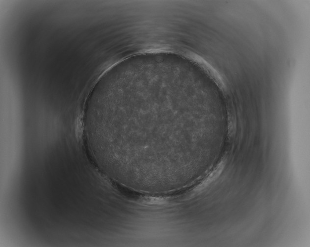 X0000102001361200807251237