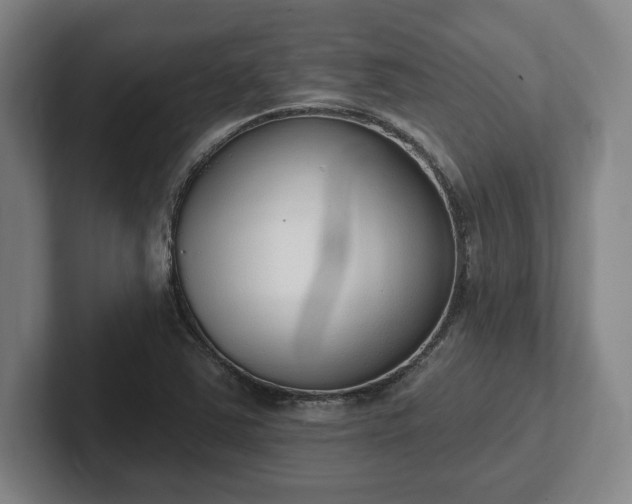 X0000102001363200807251237