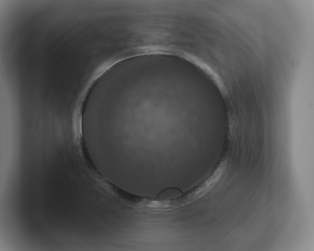 X0000102001365200807251237