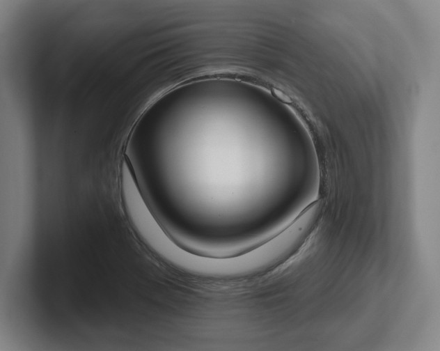 X0000102001369200807251237