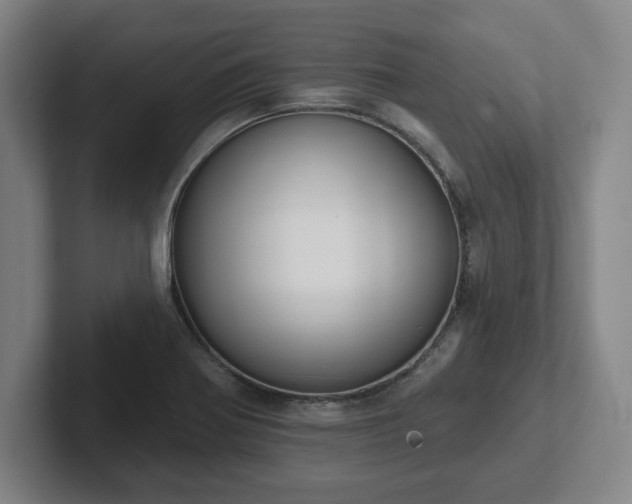 X0000102001370200807251237