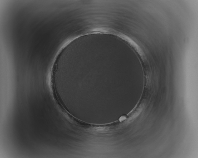 X0000102001373200807251237