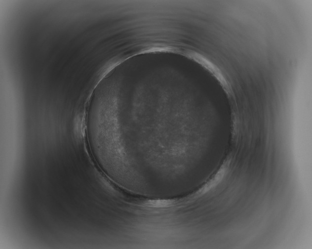 X0000102001377200807251237