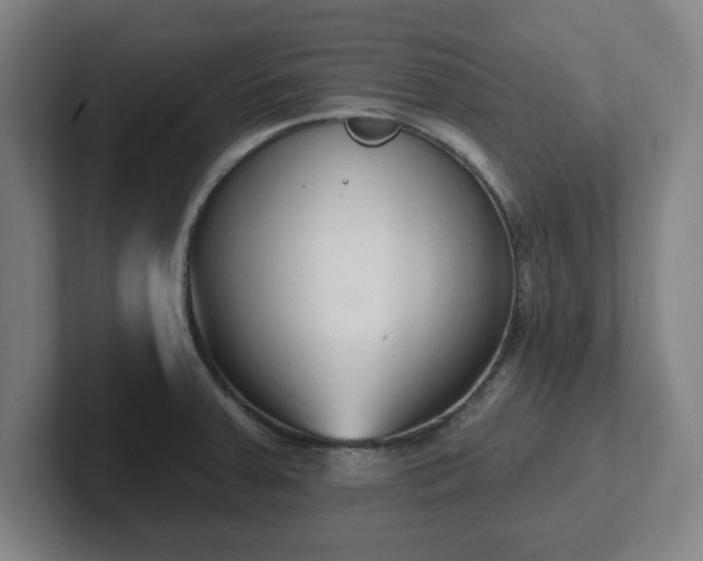 X0000102001379200807251237