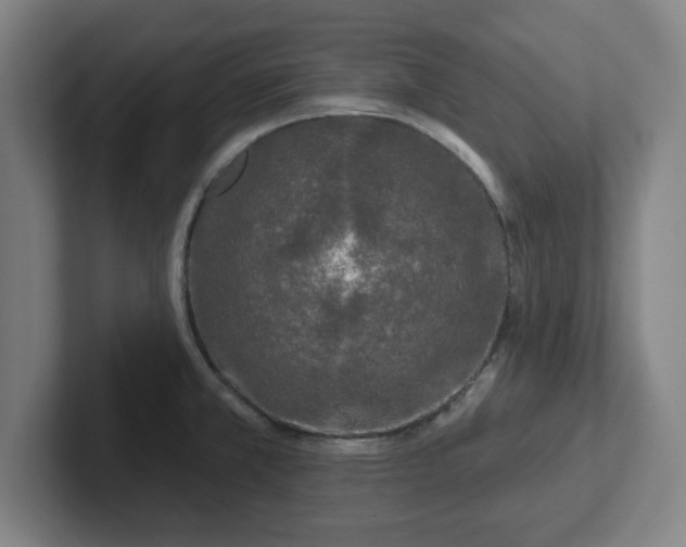 X0000102001381200807251237