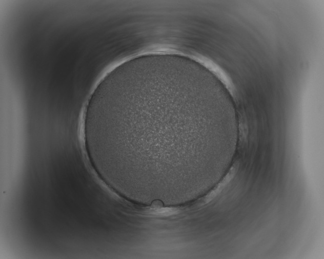 X0000102001382200807251237