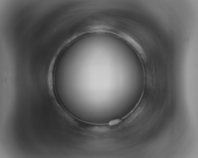 X0000102001384200807251237