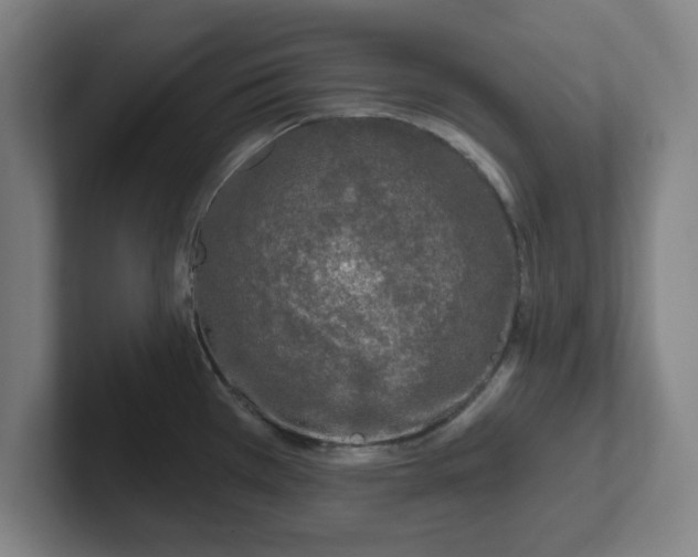 X0000102001385200807251237