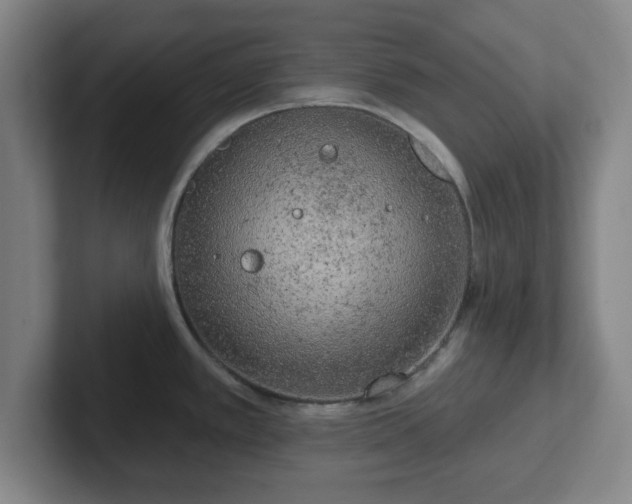 X0000102001389200807251237