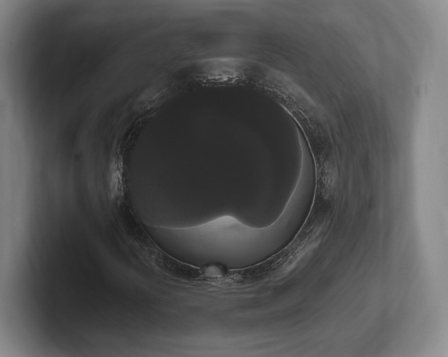 X0000102001394200807251236