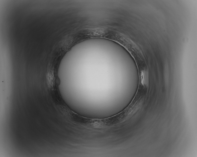 X0000102001395200807251236