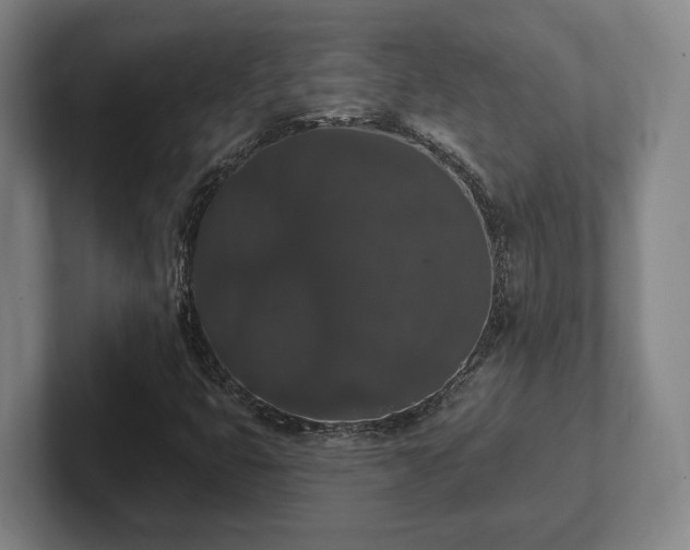 X0000102001399200807251237