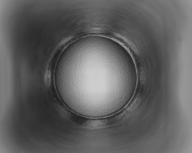 X0000102001402200807251237