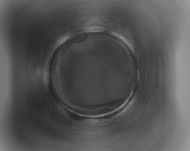 X0000102001405200807251237