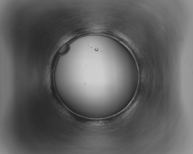 X0000102001410200807251237