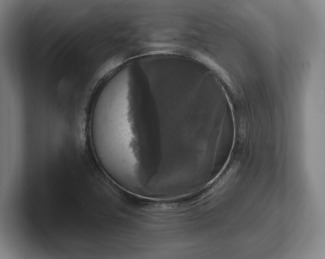 X0000102001411200807251237