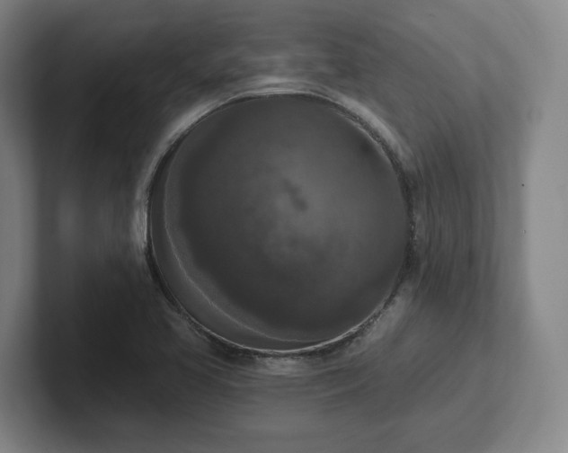 X0000102001413200807251237