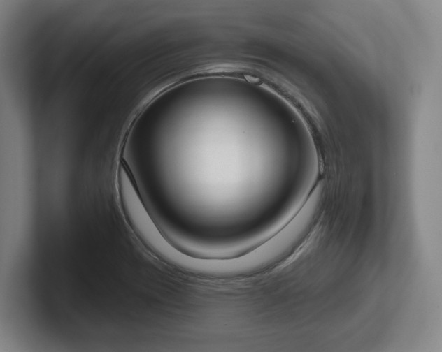 X0000102001417200807251237