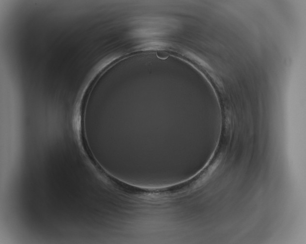 X0000102001418200807251237