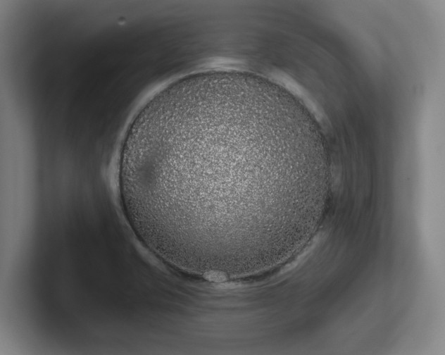 X0000102001421200807251237