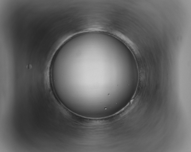 X0000102001423200807251237