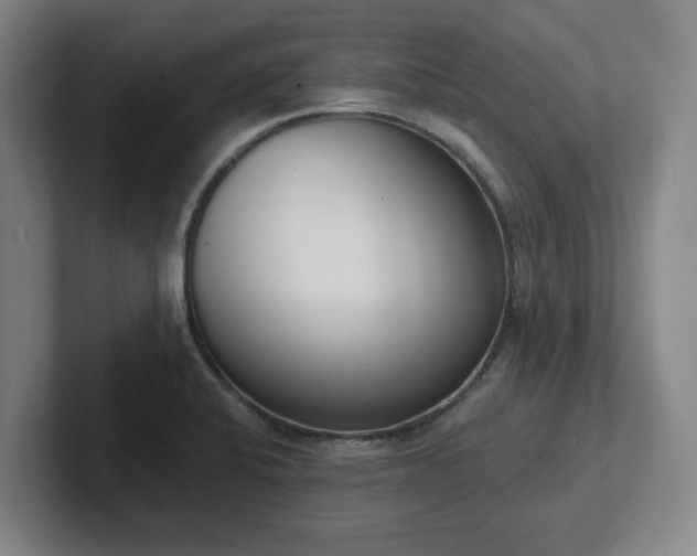 X0000102001424200807251237