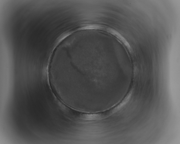 X0000102001425200807251237