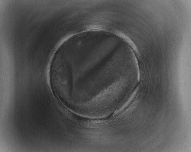 X0000102001427200807251237