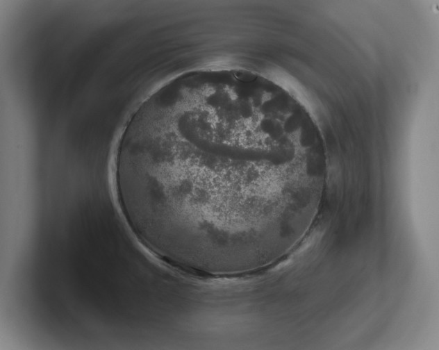 X0000102001429200807251237