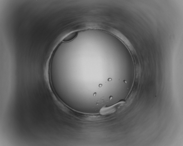 X0000102001439200807251237