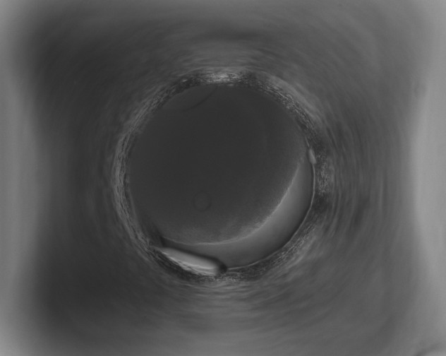 X0000102001441200807251236