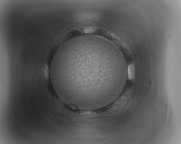 X0000102001443200807251236