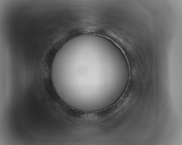 X0000102001447200807251236