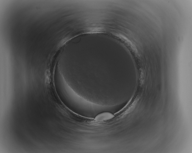 X0000102001449200807251236