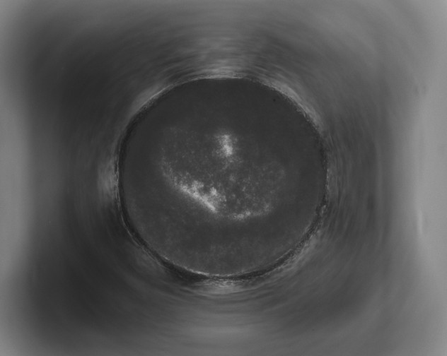 X0000102001450200807251236