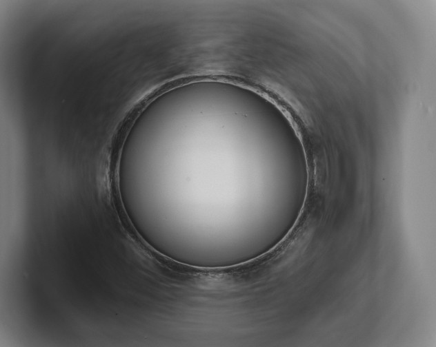 X0000102001452200807251236