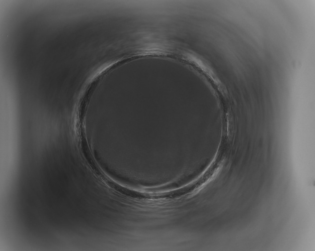 X0000102001453200807251236