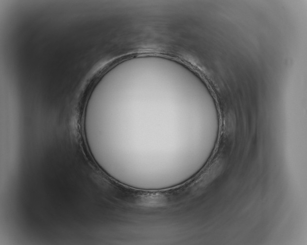 X0000102001454200807251236