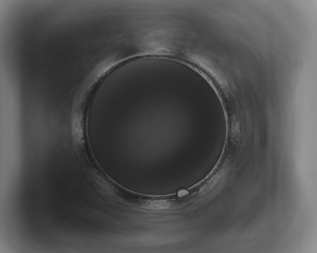 X0000102001455200807251236