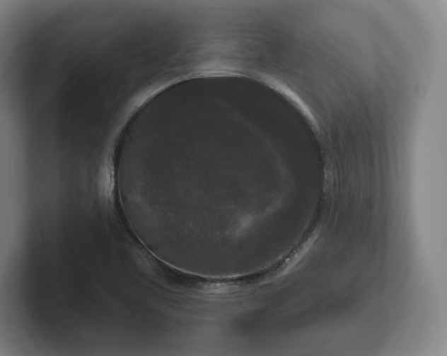 X0000102001461200807251236