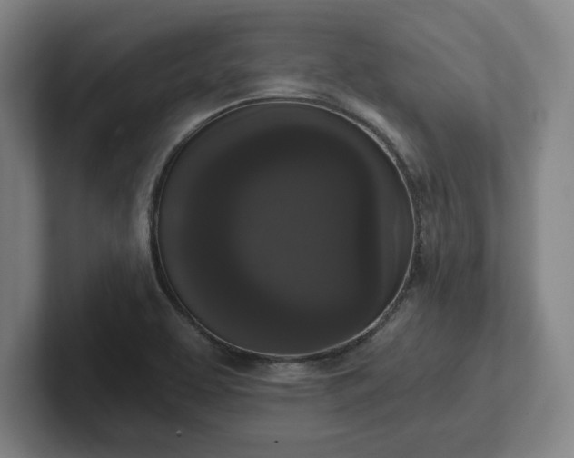 X0000102001463200807251236