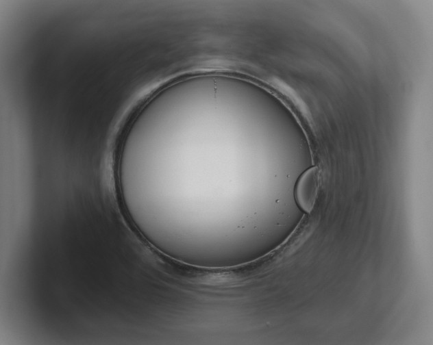 X0000102001464200807251236