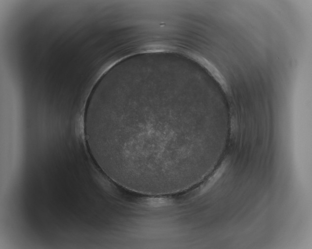 X0000102001465200807251236