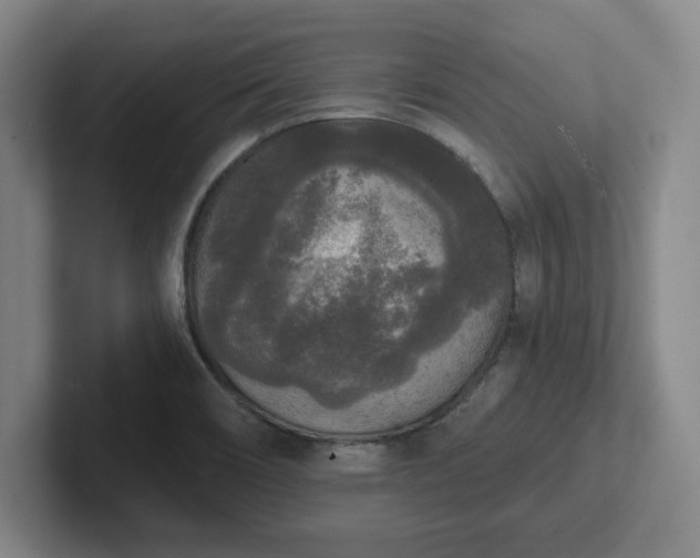 X0000102001466200807251236