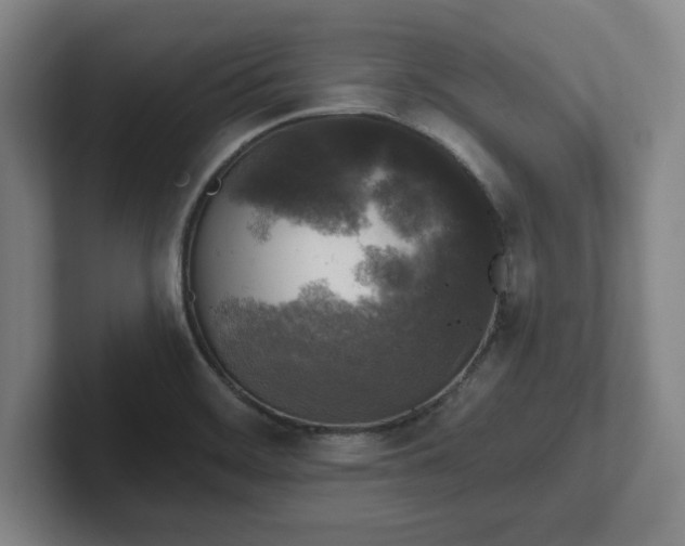 X0000102001468200807251236