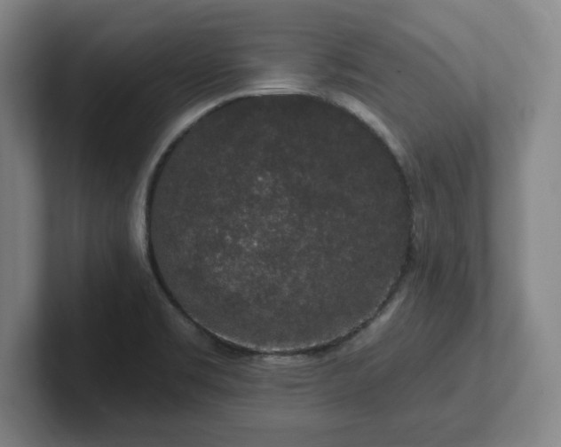 X0000102001469200807251236